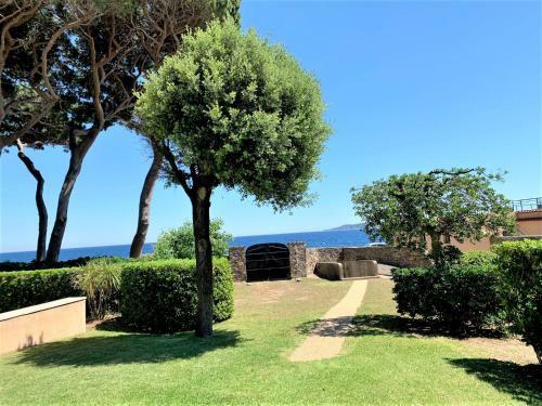 Apartamento La Madrague