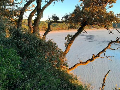 Villa Sur La Pointe De Suzac Et Ses Criques 4* :location � La Semaine