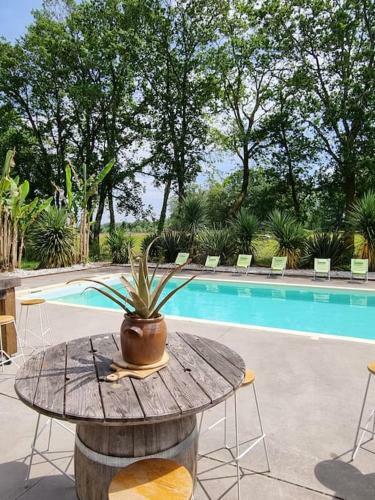 Gite Proche D'hossegor Et Capbreton Avec Piscine