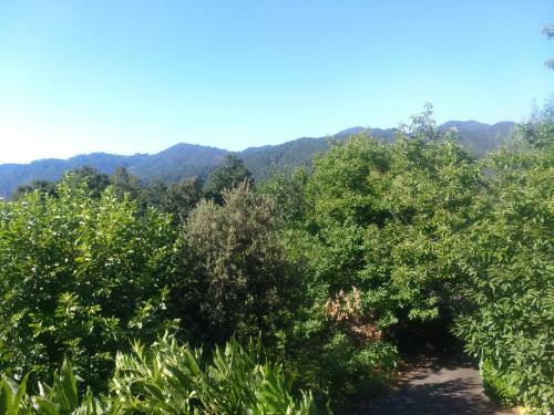 Hostal Les Jardins D'arbousse