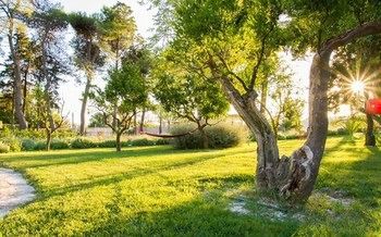 Masseria San Domenico Oria Boutique B&B