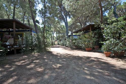 Camping Village Il Sole
