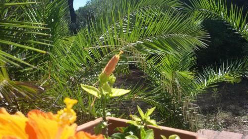 Camping Village Il Sole