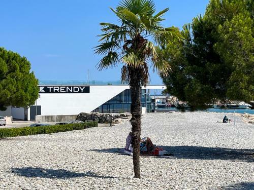 Apartamento Studio En Rez De Jardin En Bord De Mer Avec Piscine
