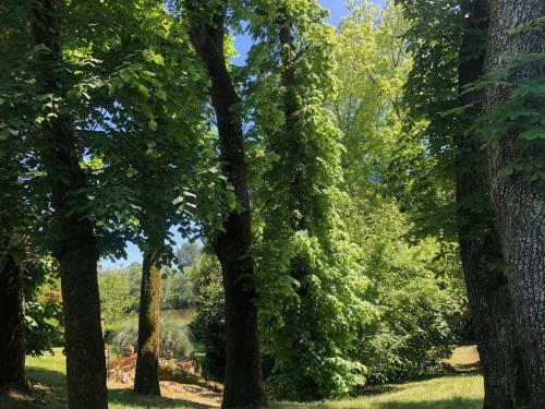 Apartamento La Suite A Chateau Franc Daut