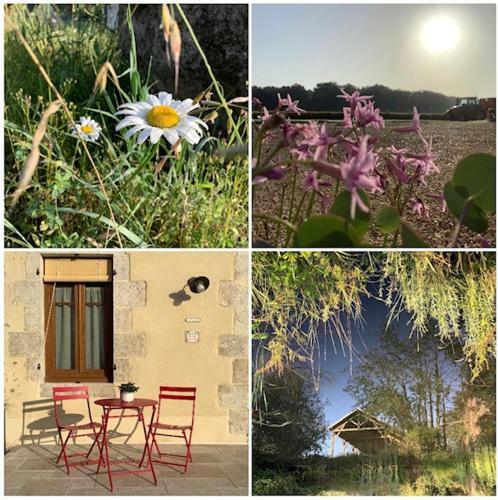 G�te Entre Loire Et Campagne