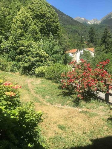 Tr�s Beau Chalet � Saint Martin De V�subie
