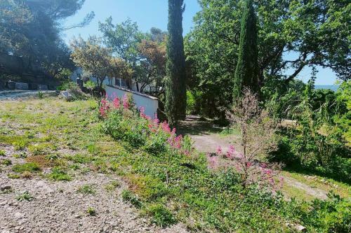Maison Dans Un �crin De Ch�nes Proven�ale