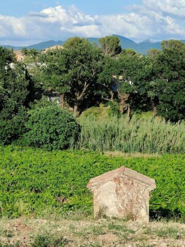 Maison Dans Un �crin De Ch�nes Proven�ale
