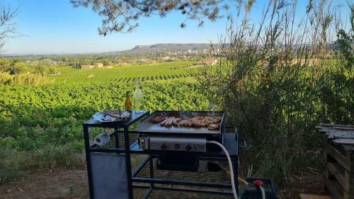 Les 2 Mazets Proven�aux