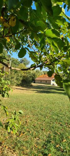 Bed & Breakfast Le Coq En Repos