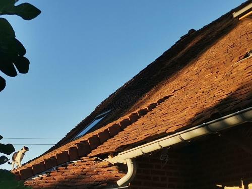 Bed & Breakfast Ecolieu Le Chant Du Temps