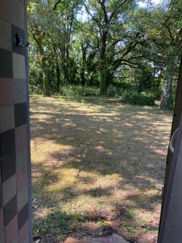 Charmant Bungalow Entre Oc�an, Estuaire Et Vignes