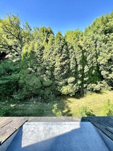 Villa Le Camign�, Ch�teau, Vue Pyr�n�es
