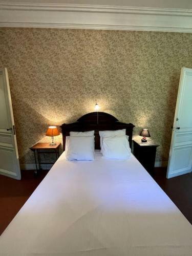 Villa Le Camign�, Ch�teau, Vue Pyr�n�es