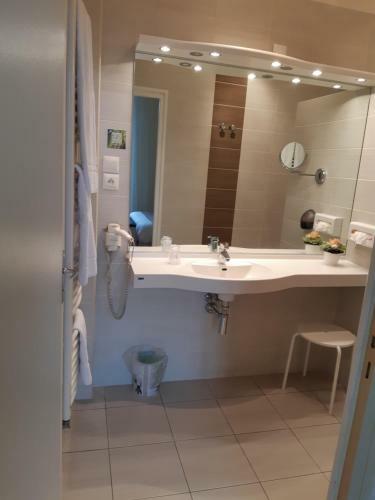 Hotel Logis H�tel Restaurant Le Parc Sologne