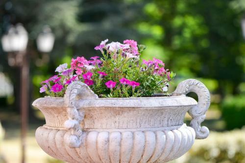 Hotel Logis H�tel Restaurant Le Parc Sologne