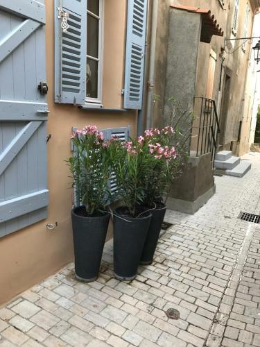Fischerhaus In Saint Tropez