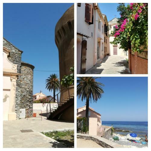 Apartamento Cap Corse/bastia. Studio Bord De Mer 2 Personnes.