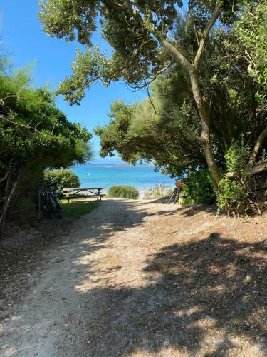 Callot Villa Des �les