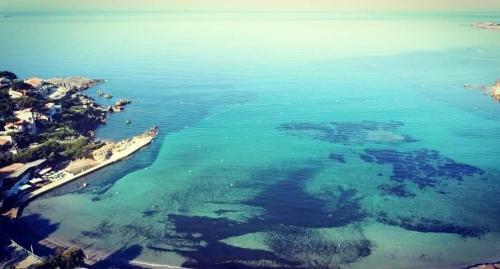 Les Genets D'or - Le Clos Saint Michel