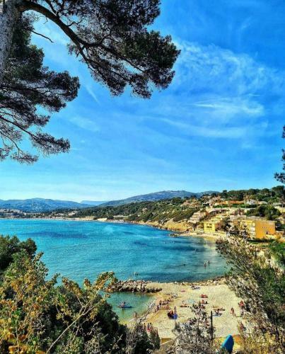Les Genets D'or - Le Clos Saint Michel