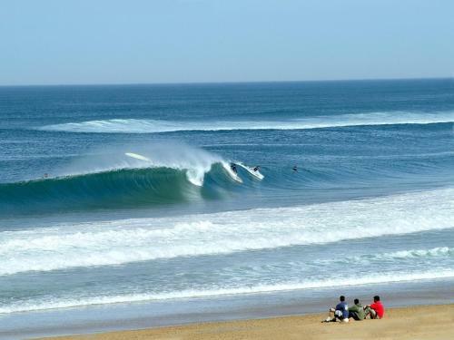Entre Vague Et For�t