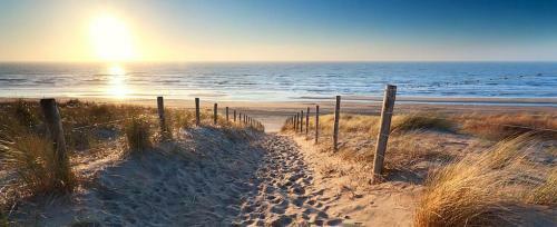 Entre Vague Et For�t