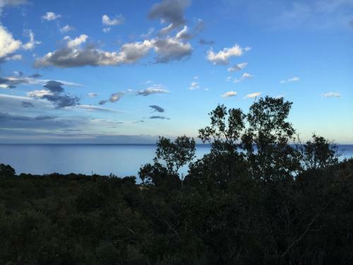 Villa Atypique Bois Vue Mer A 180 Degr�s