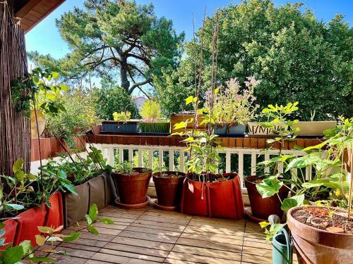 Apartamento Hossegor - Appartement Avec Terrasse