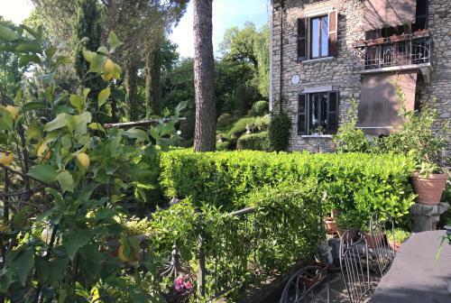 Apartamento Il Pioppo Antico