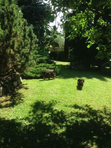 Apartamento Il Pioppo Antico