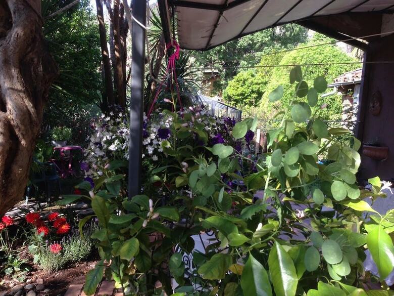 Bed & Breakfast B & B Falcone