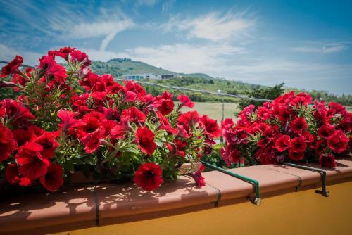 B&B Il Girasole