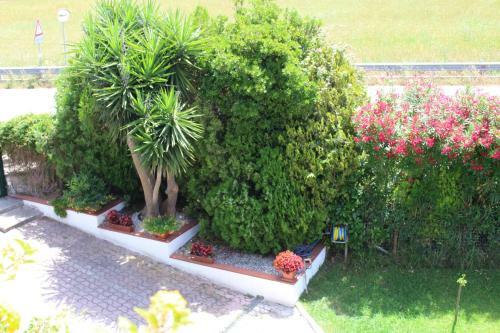 B&B Il Girasole