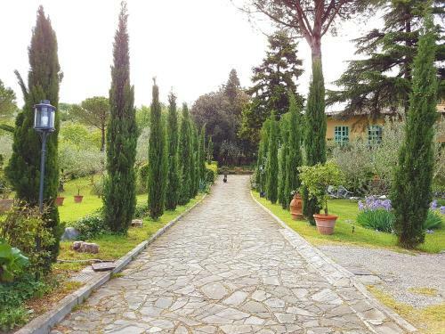 Bed & Breakfast Ulivi Di Castello