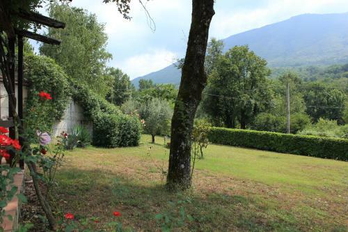 Bed & Breakfast La Colonna