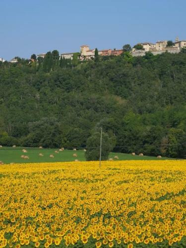Apartamento Villa Vue D'exception Sur Pyr�n�es Proche Mirepoix