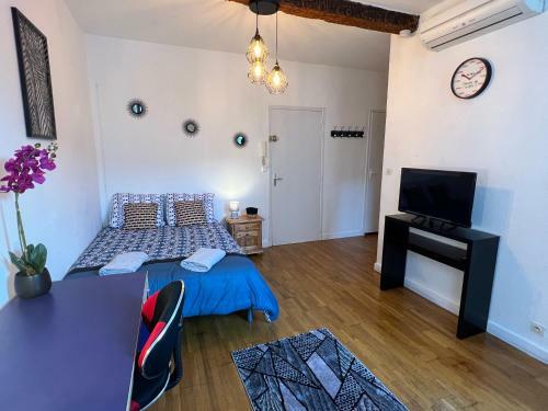 Apartamento Studio Hyper Centre , Colombette