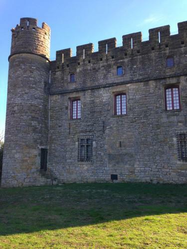 Chateau De Castelnau Valence