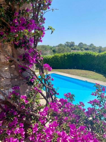 Magnifique Villa En Pierres � Valbonne