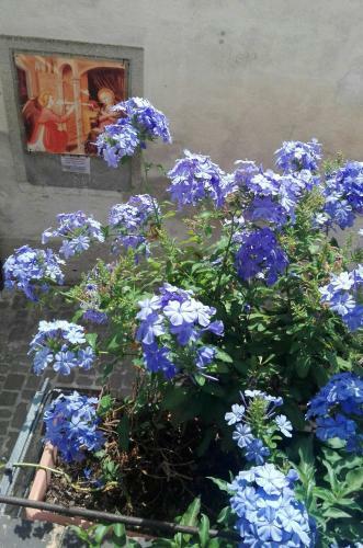Hostal Palazzetto Bentivoglio