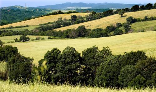 Apartamento Saturnia Tuscany Country House