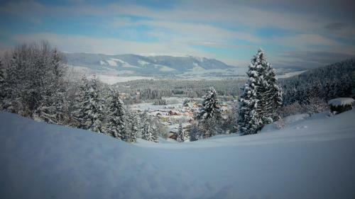 Hotel Belvedere