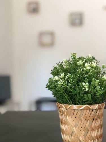 Apartamento Mila, F3 Avec Ext�rieur Et Parking
