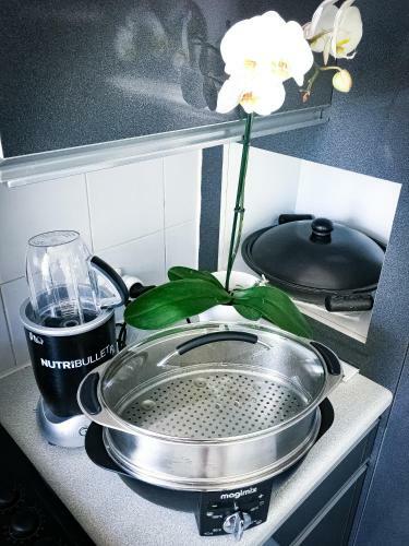 Apartamento Superbe Appartement Loft � Versailles