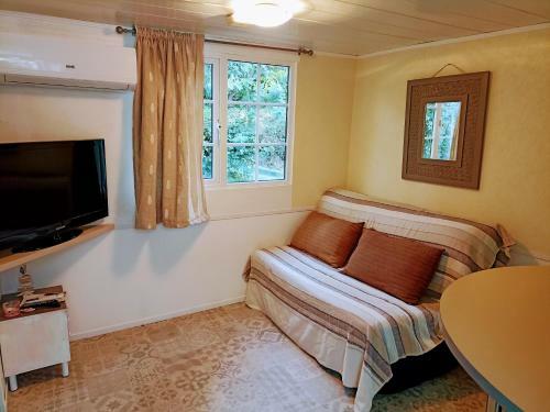Mobilhome 2/5 Personnes Sous La Vigne