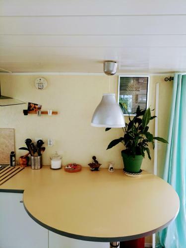 Mobilhome 2/5 Personnes Sous La Vigne