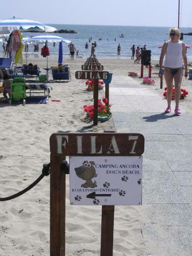 Camping Ancora