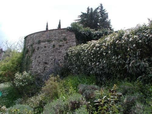 Apartamento Agriturismo Podere La Casa